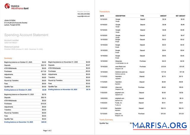 Realistic Pakistan Mobilink Microfinance bank statement word 2 pages, version 2 sample